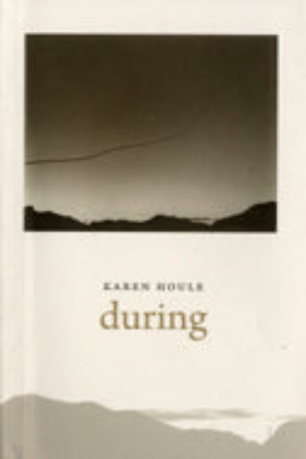 Book cover of 'During' by Karen Voss with a minimalist design.
