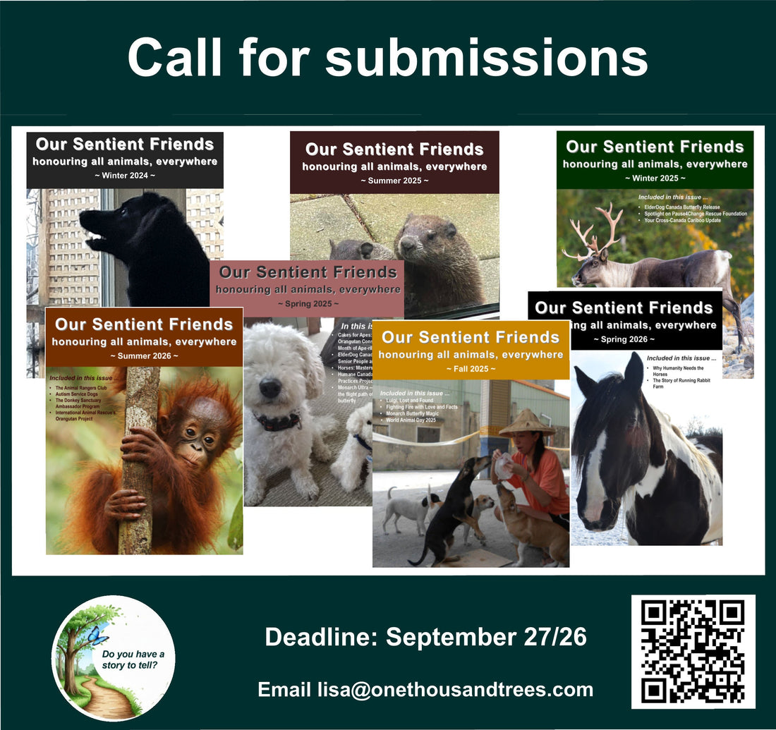 Call for Submissions - Our Sentient Friends,