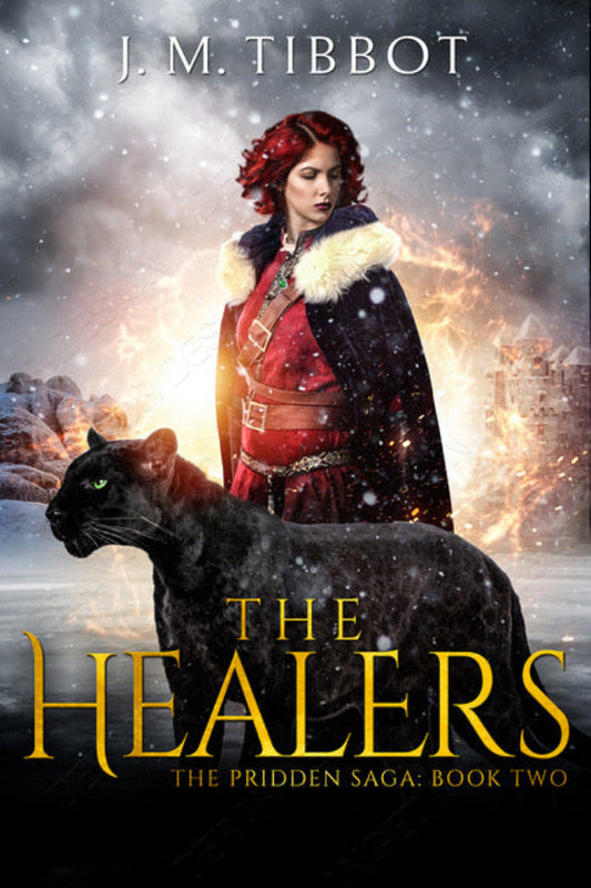 Book cover of 'The Healers' featuring a woman in a red coat with a black panther on a snowy background.