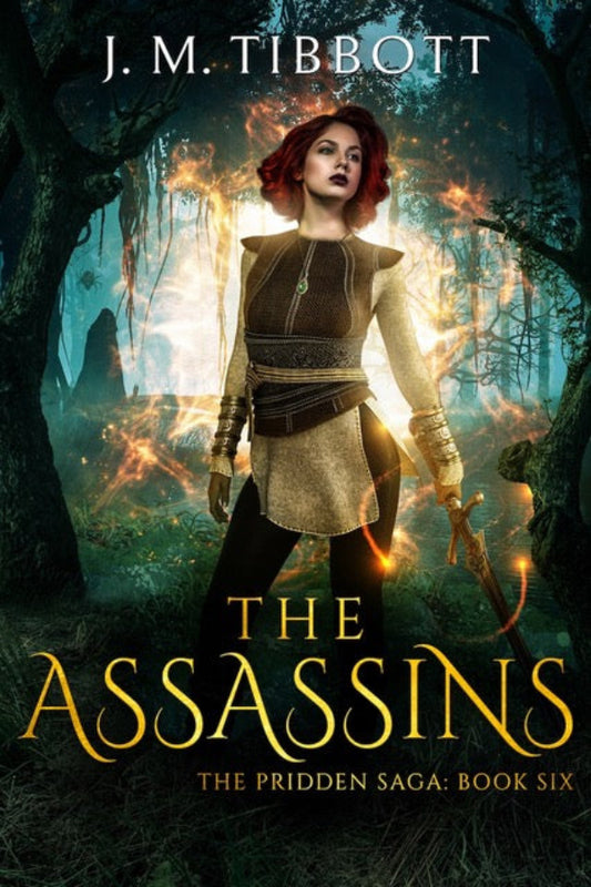 Book cover of 'The Assassins' by J.M. Tibbott with a character in armor standing in a forest.