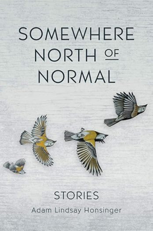 Book cover of 'Somewhere North of Normal' with birds on a textured background