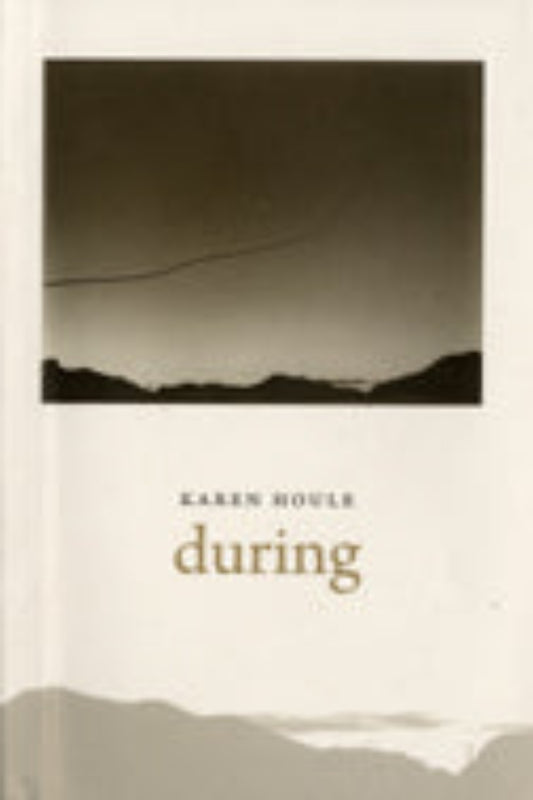 Book cover of 'During' by Karen Voss with a minimalist design.