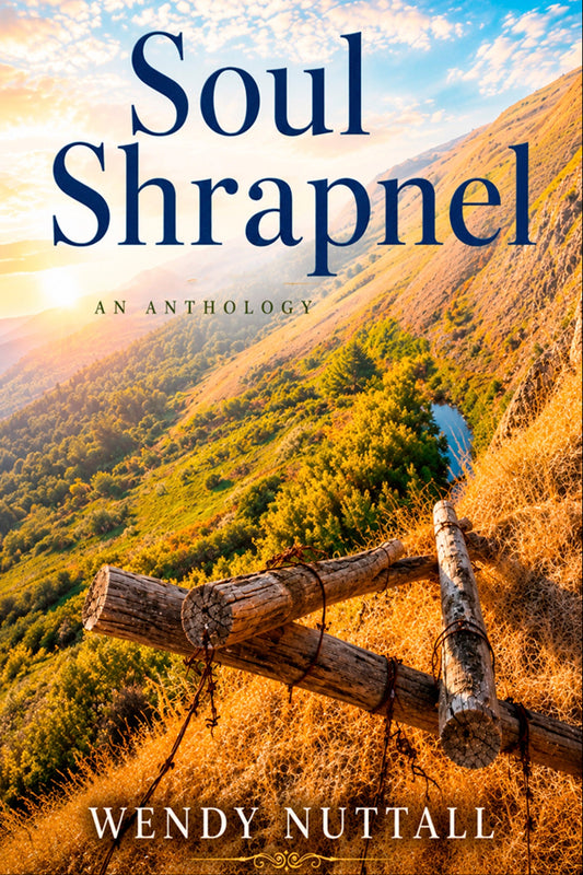 Soul Shrapnel