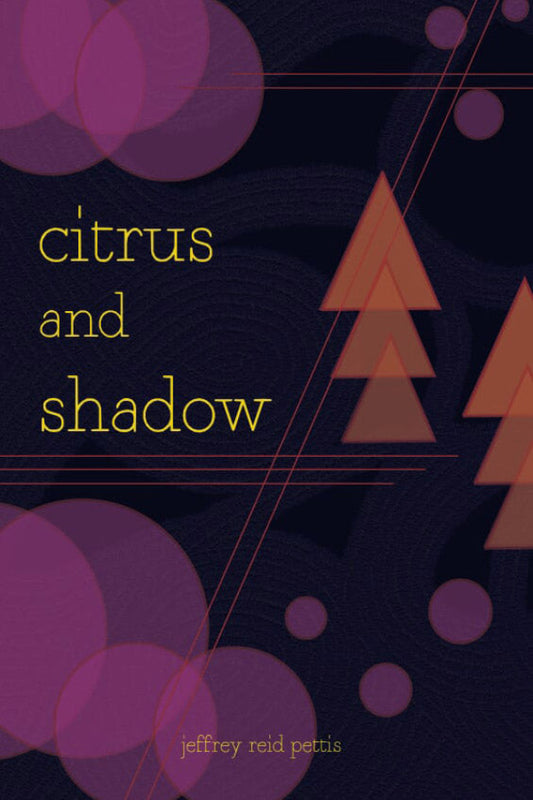 Book cover with geometric shapes and text 'citrus and shadow' on a dark background