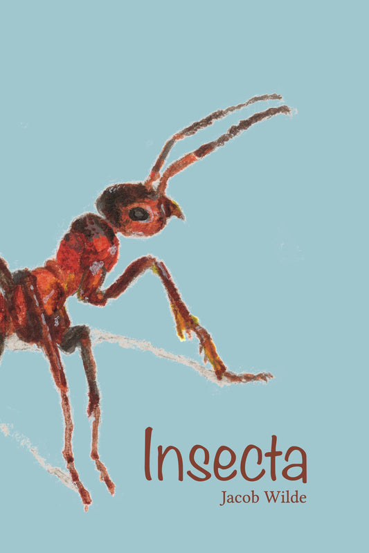 Insecta
