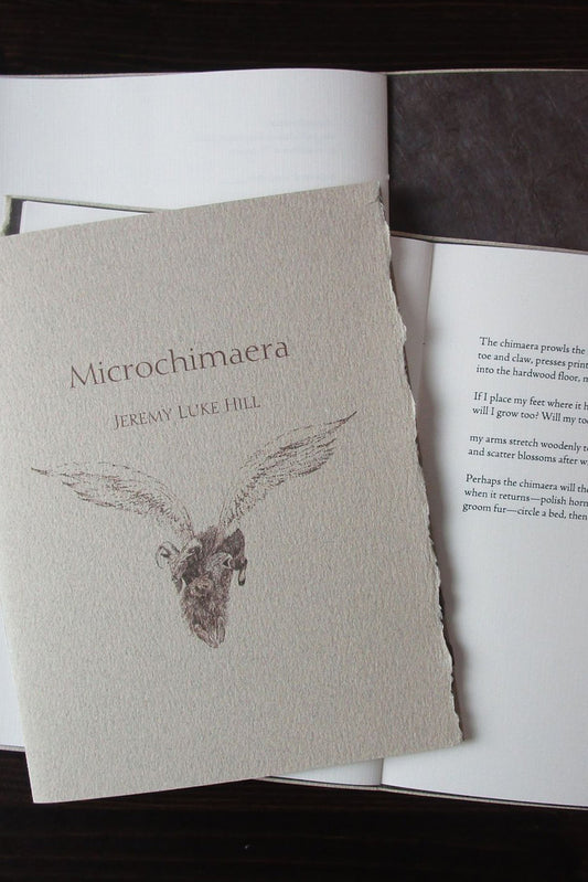 Microchimaera