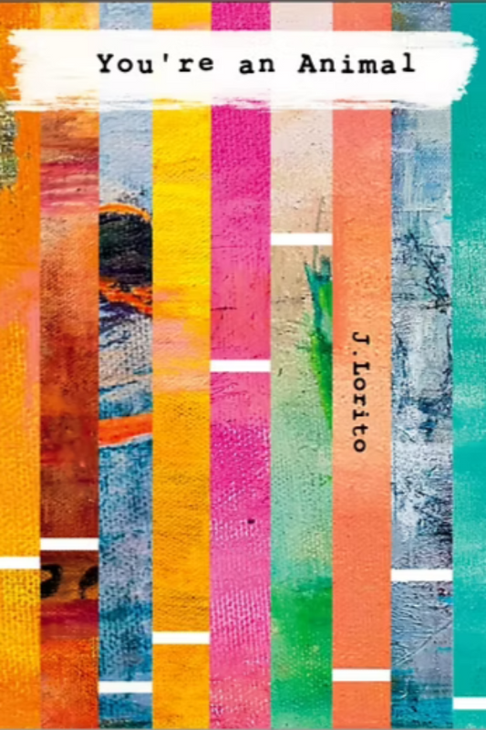 Colorful striped book cover with text on a white background