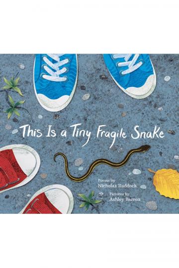 This Is a Tiny Fragile Snake